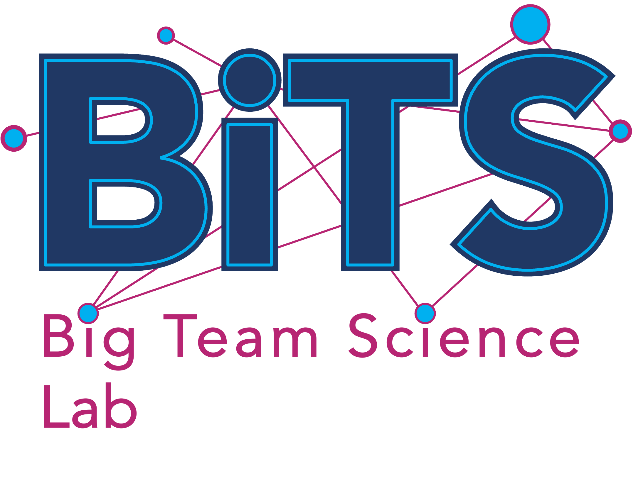 Big Team Science Lab logo